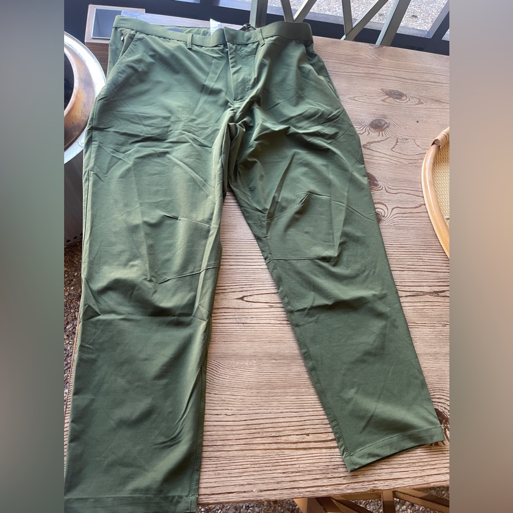 Fabletics pants